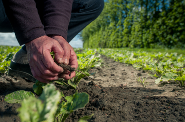 Carbon Farming