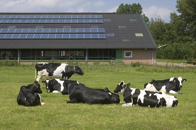zonne-energie boerderij
