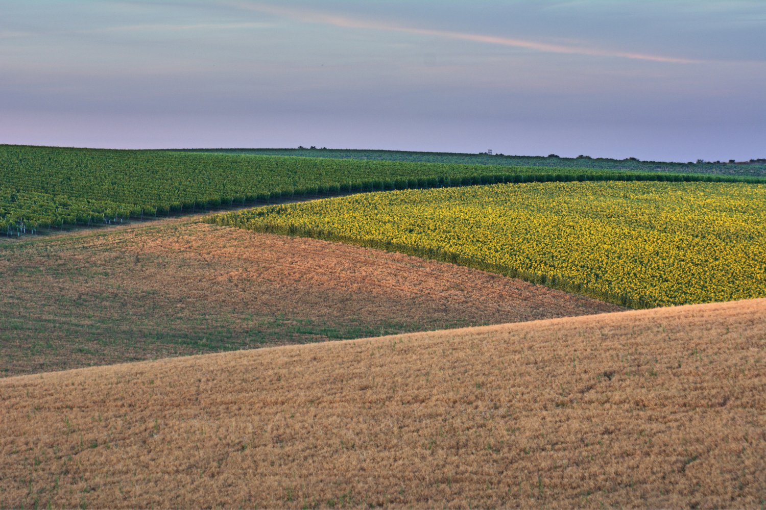 landschap