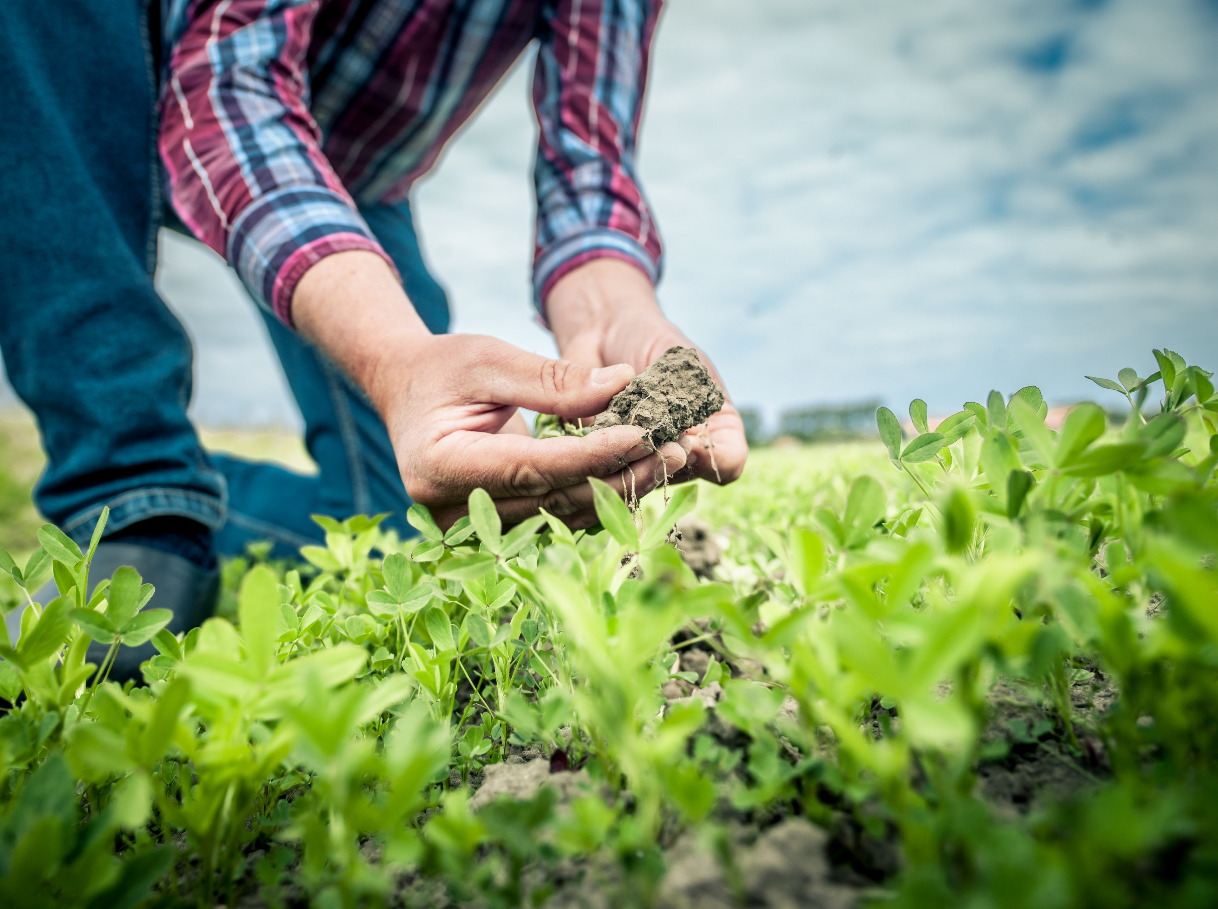 Carbon Farming