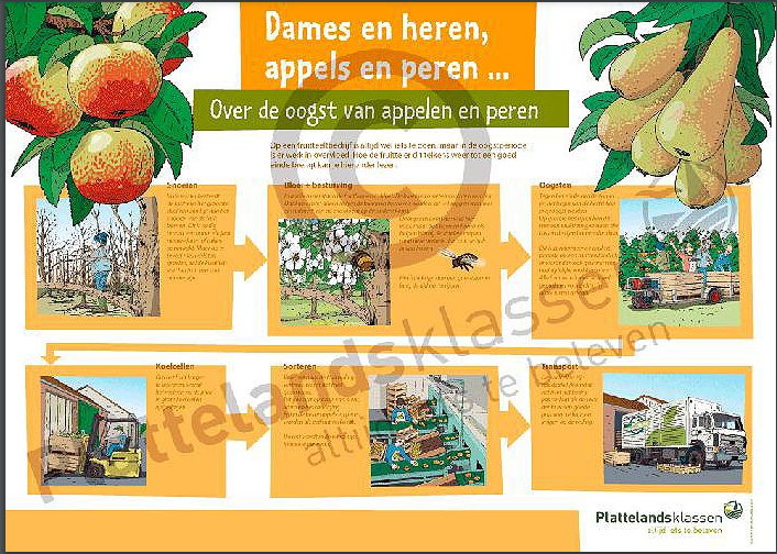 poster fruitteelt 