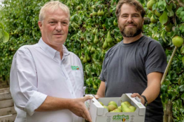 Twee mannen met doos appels