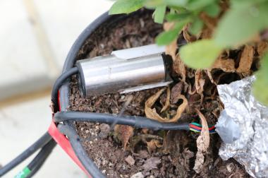 Sensor in plant