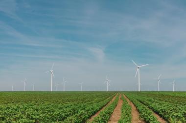 Veld met windmolens