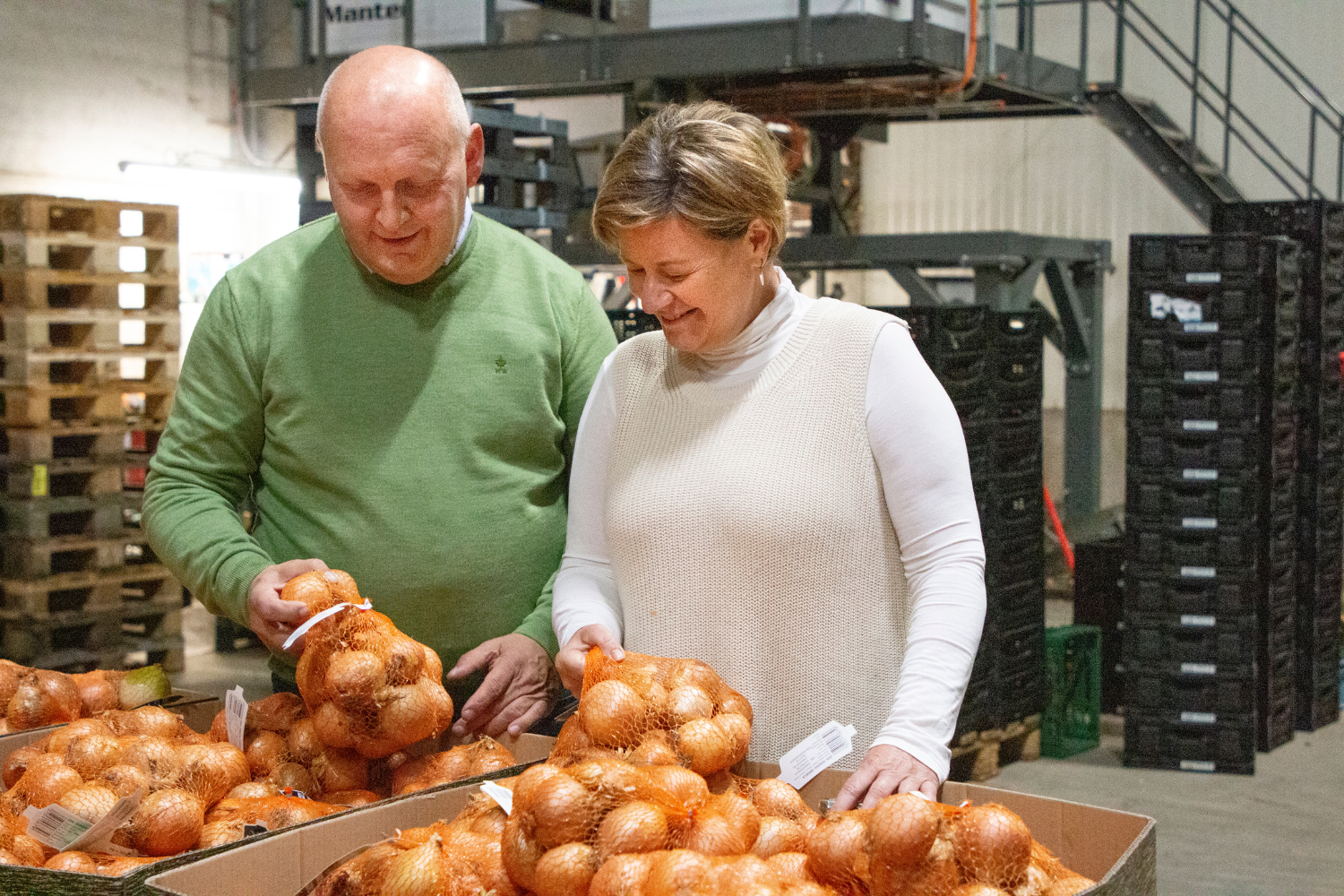 aardappelhoeve