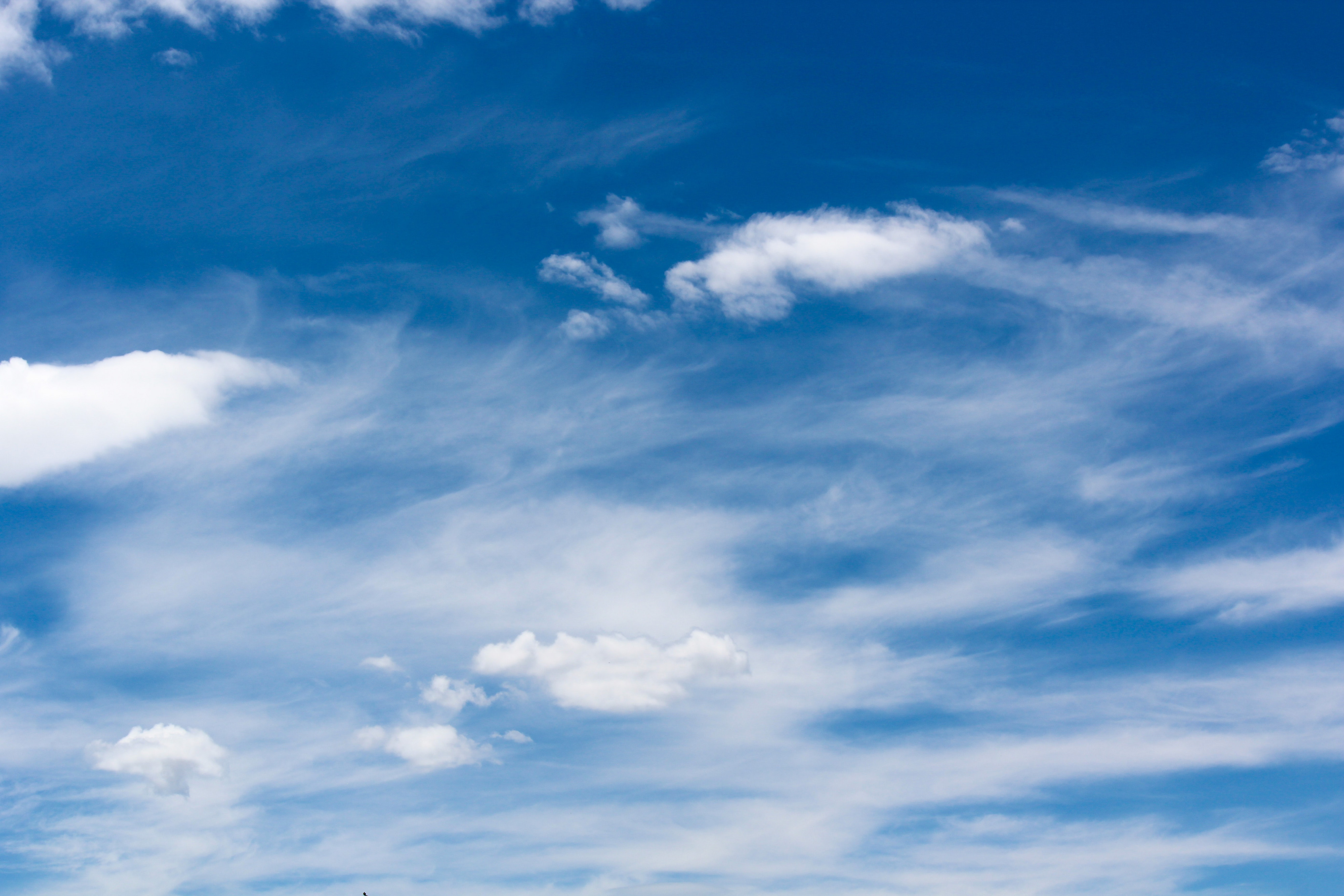 lucht