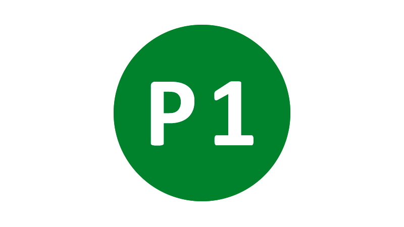 p1