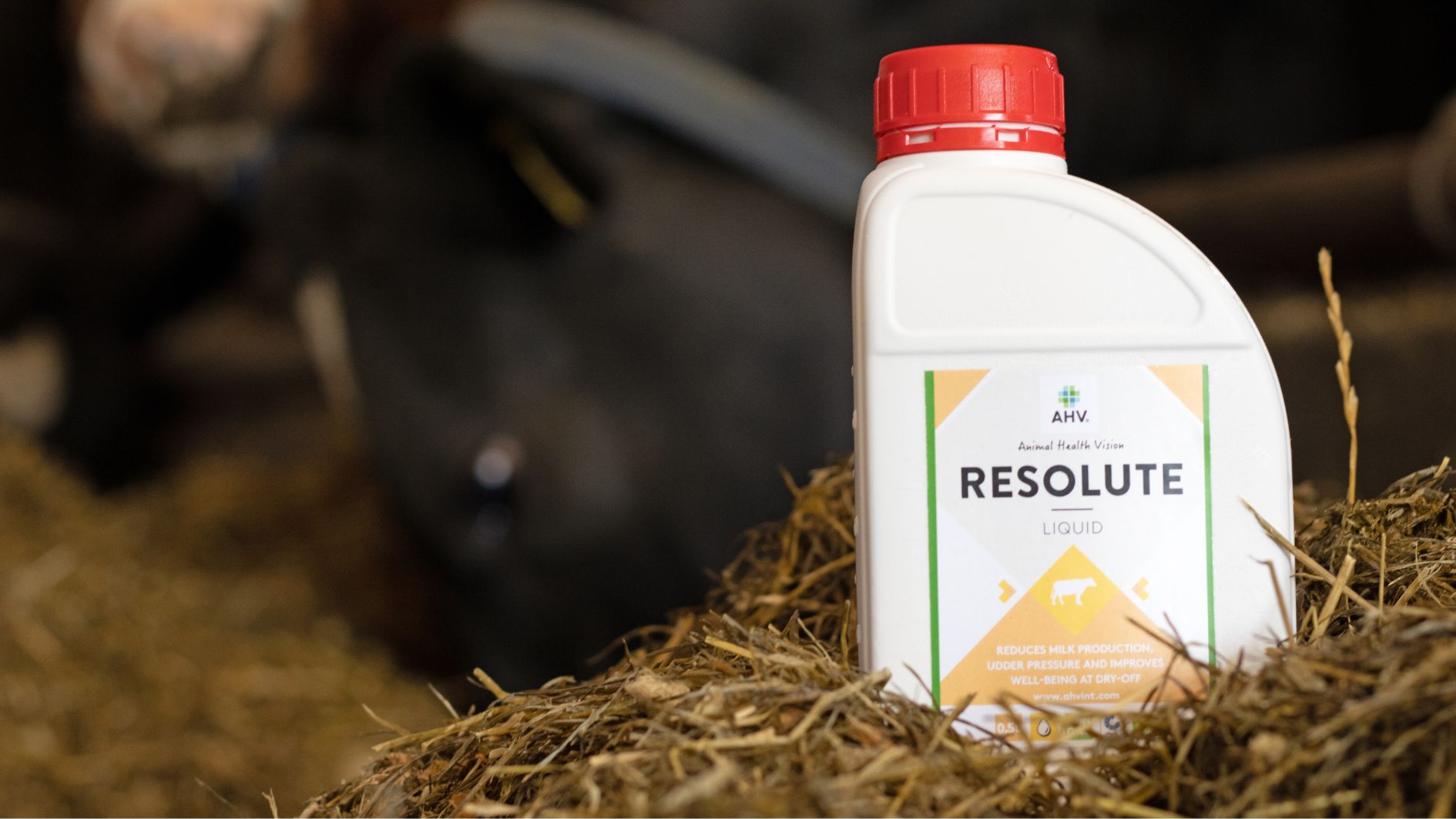 AHV Resolute