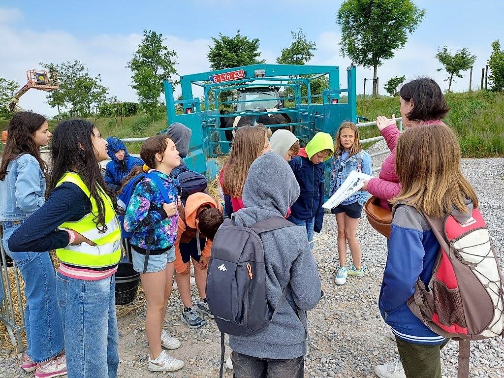 Stemmig boeren