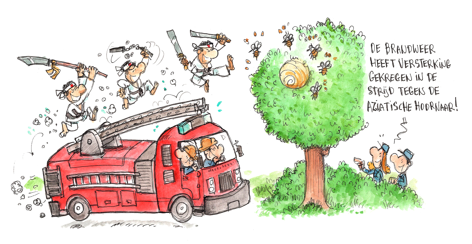 Cartoon_hoornaar