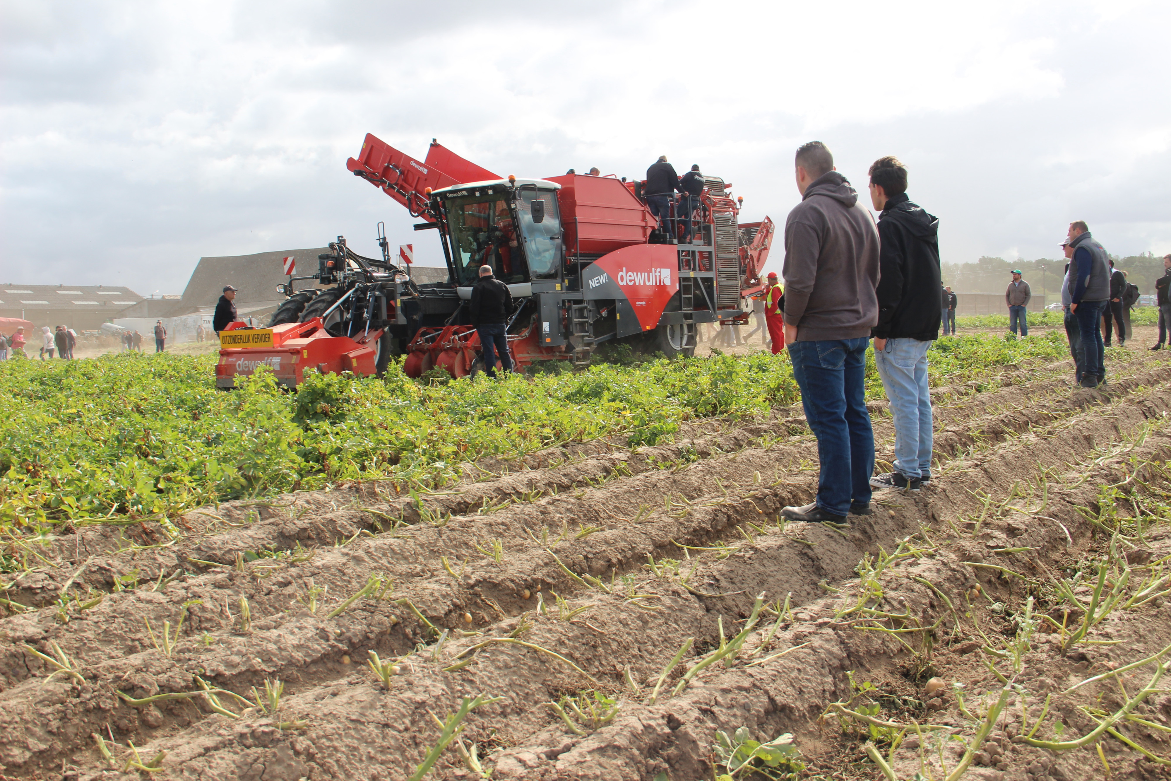 PD_potatoeurope2019