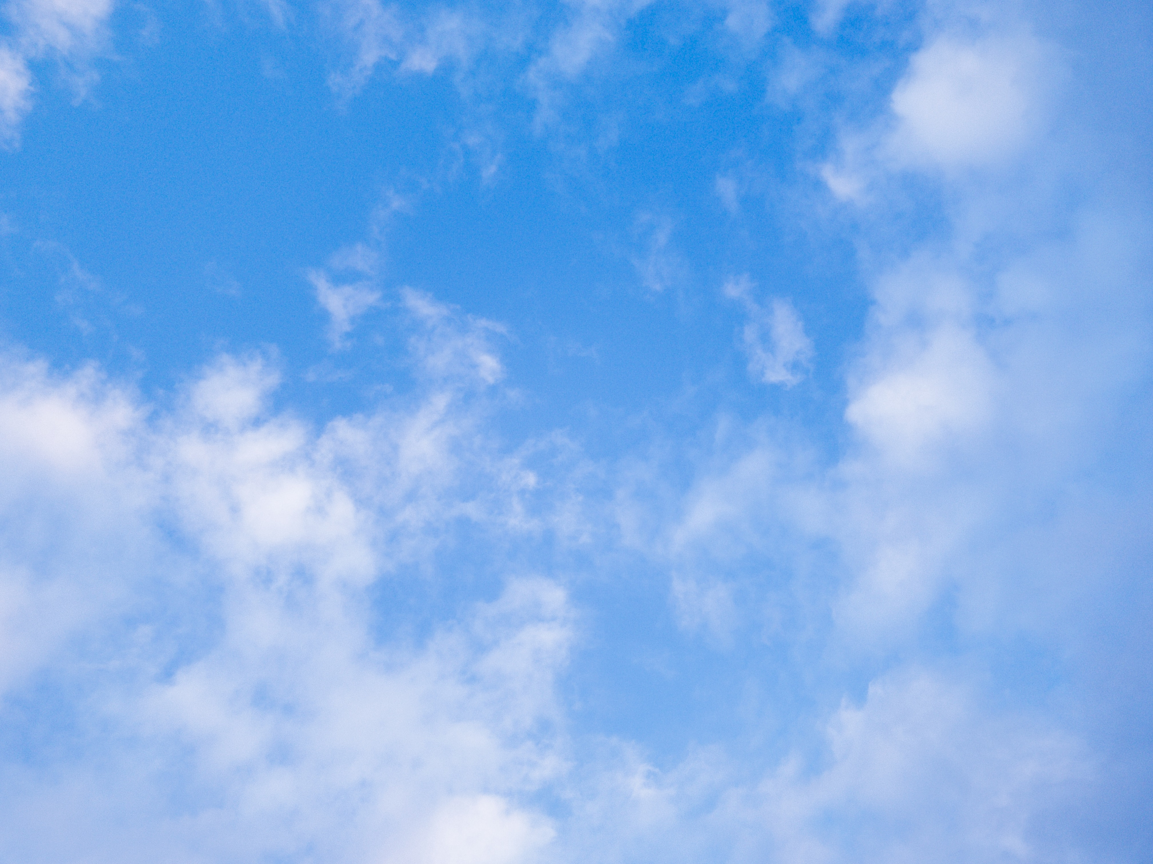 lucht