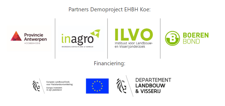 logo's