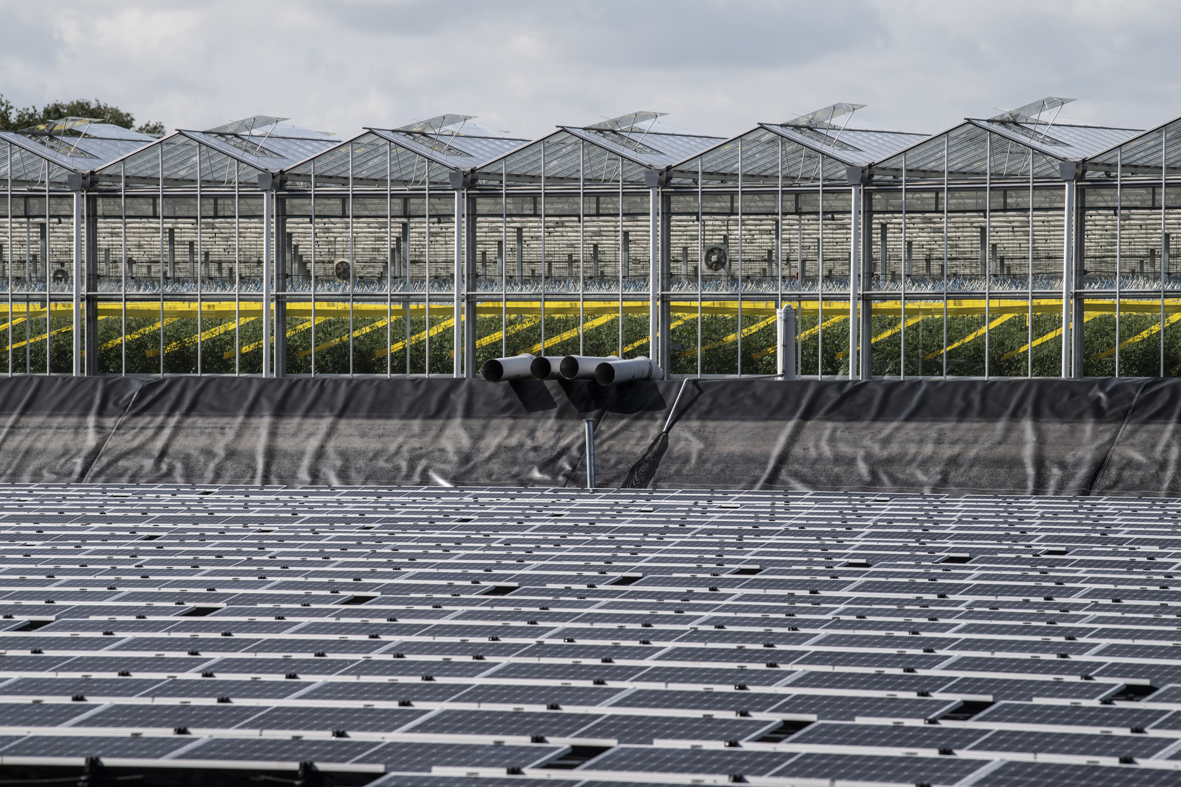 RE-Greenhouse afbeelding