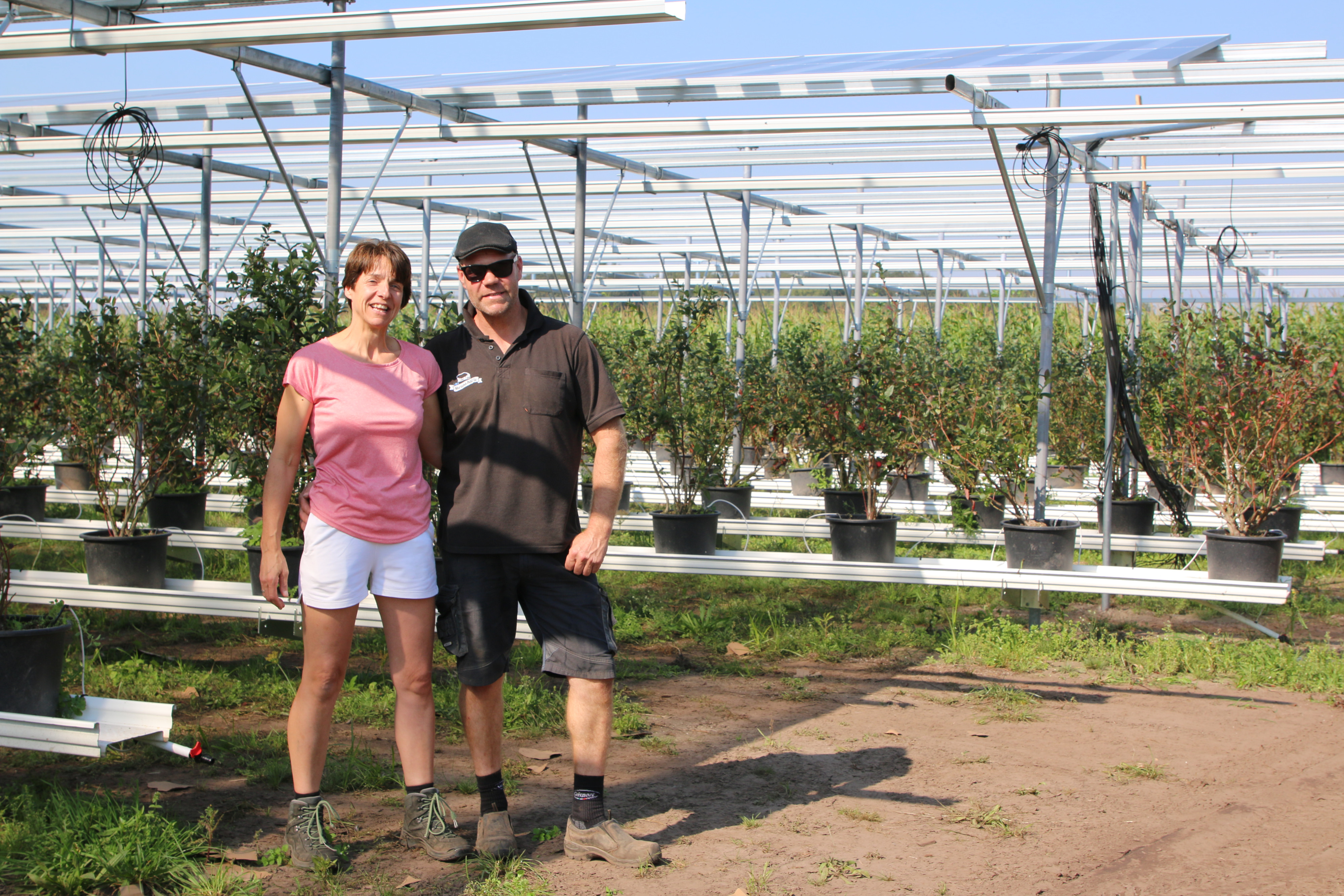 Agrivoltaics