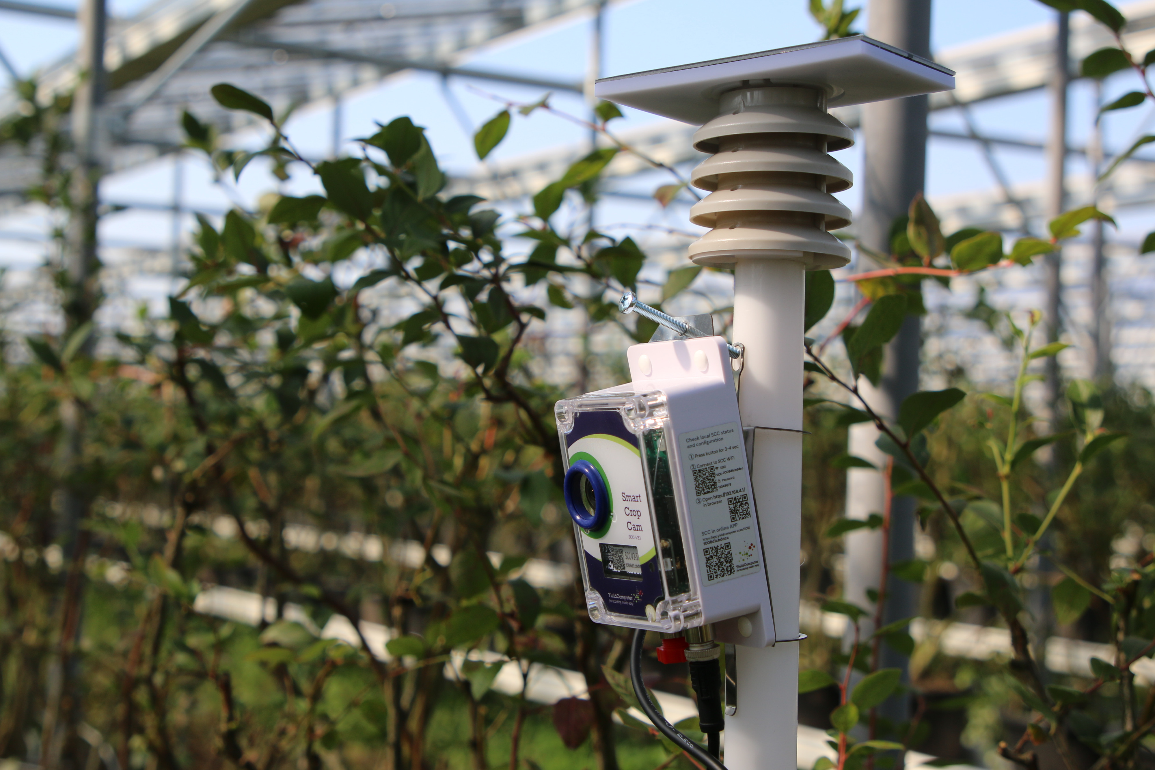 agrivoltaics