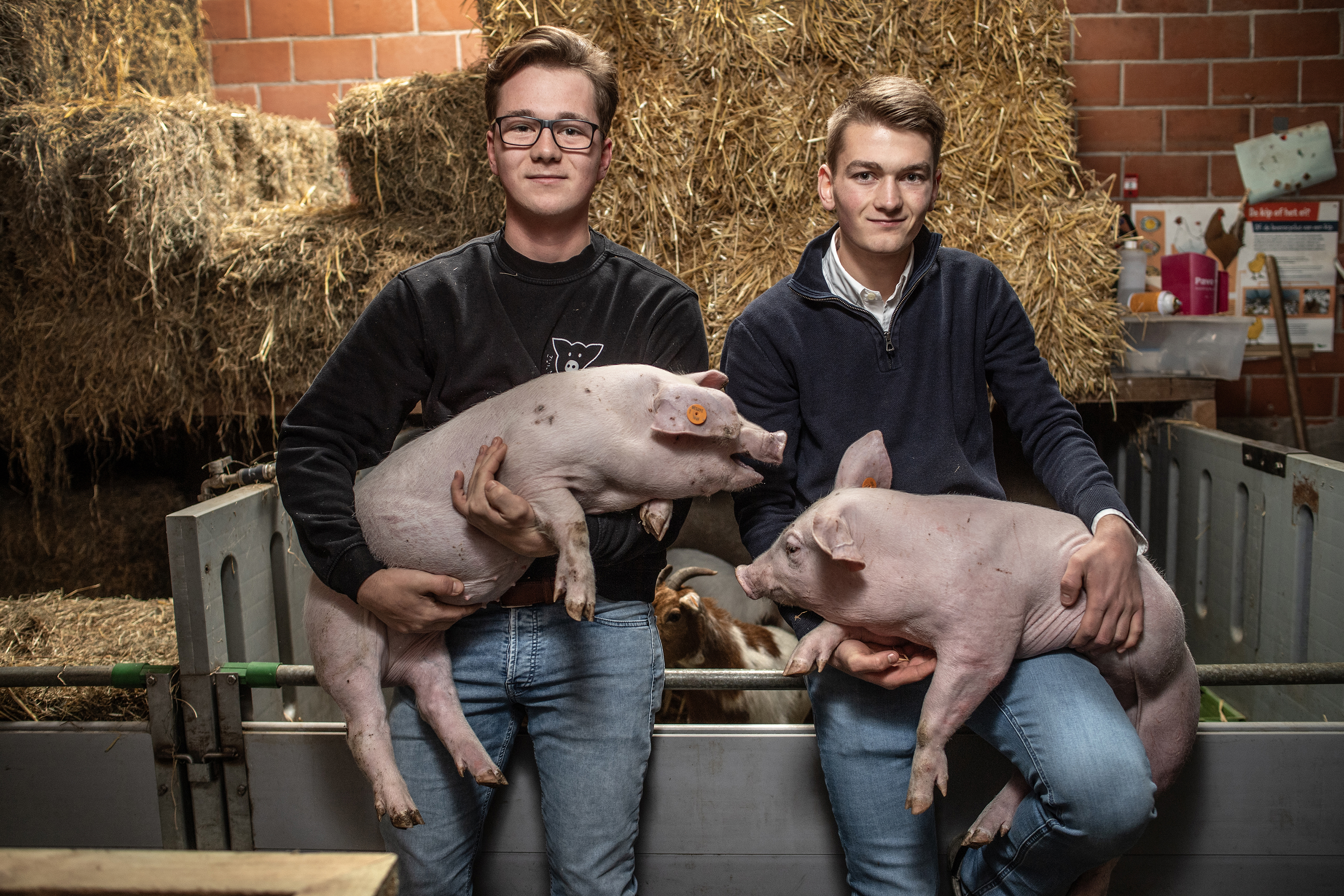 De Baerdemaeker