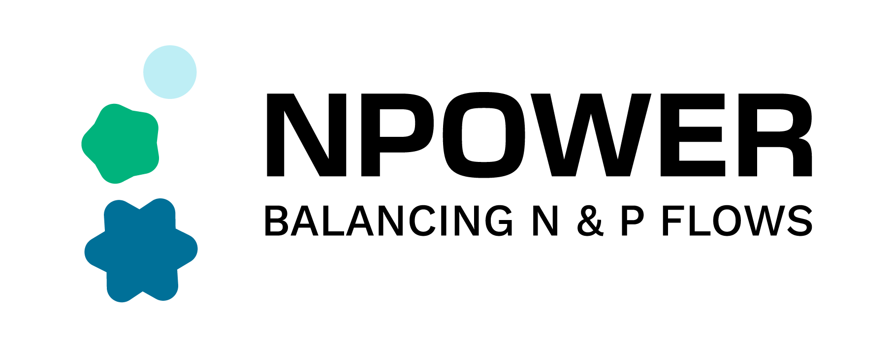 NPOWER-main logo.png