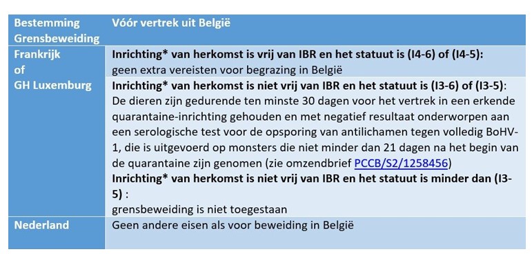 IBR