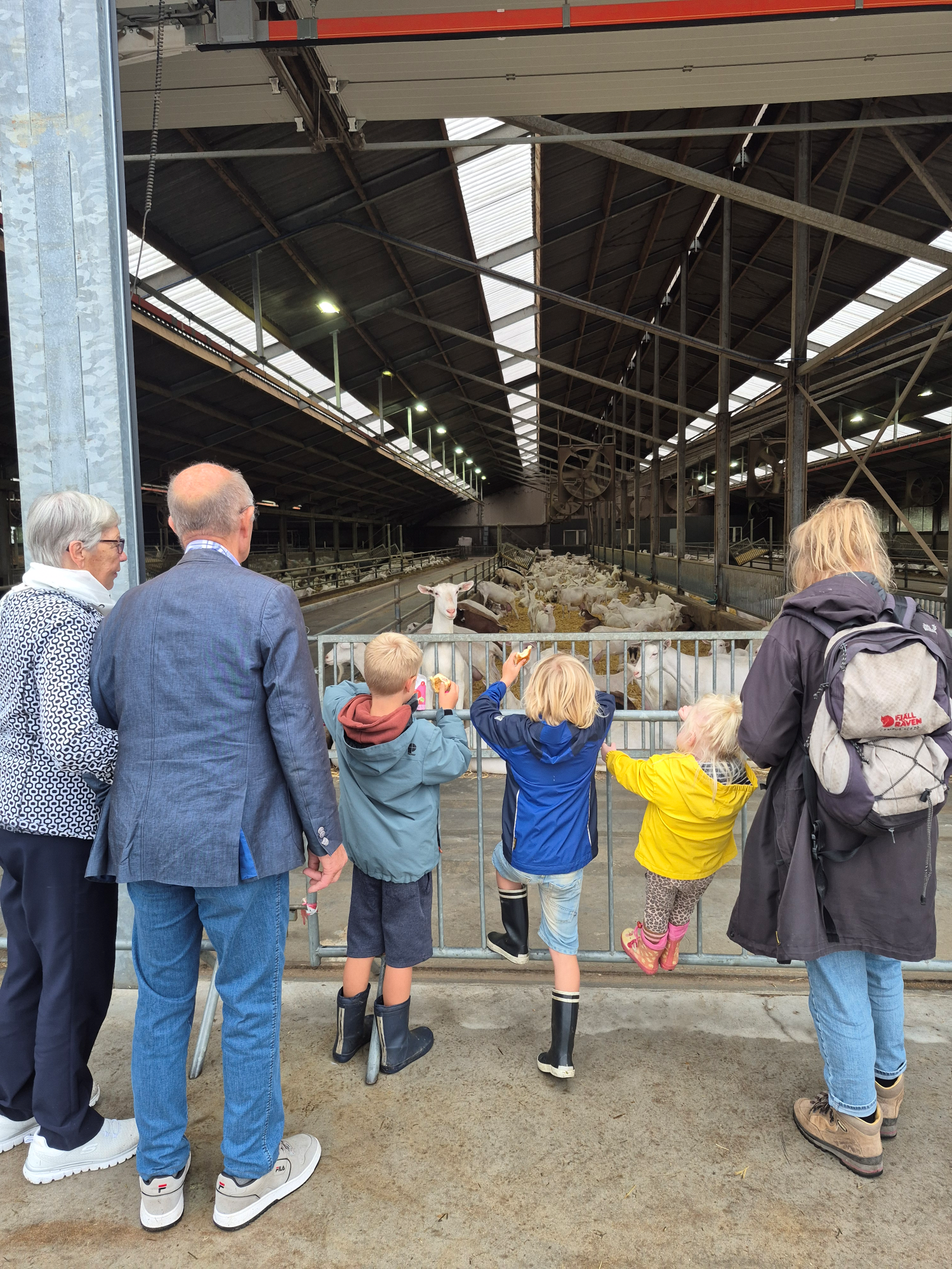Naar geitjes kijken