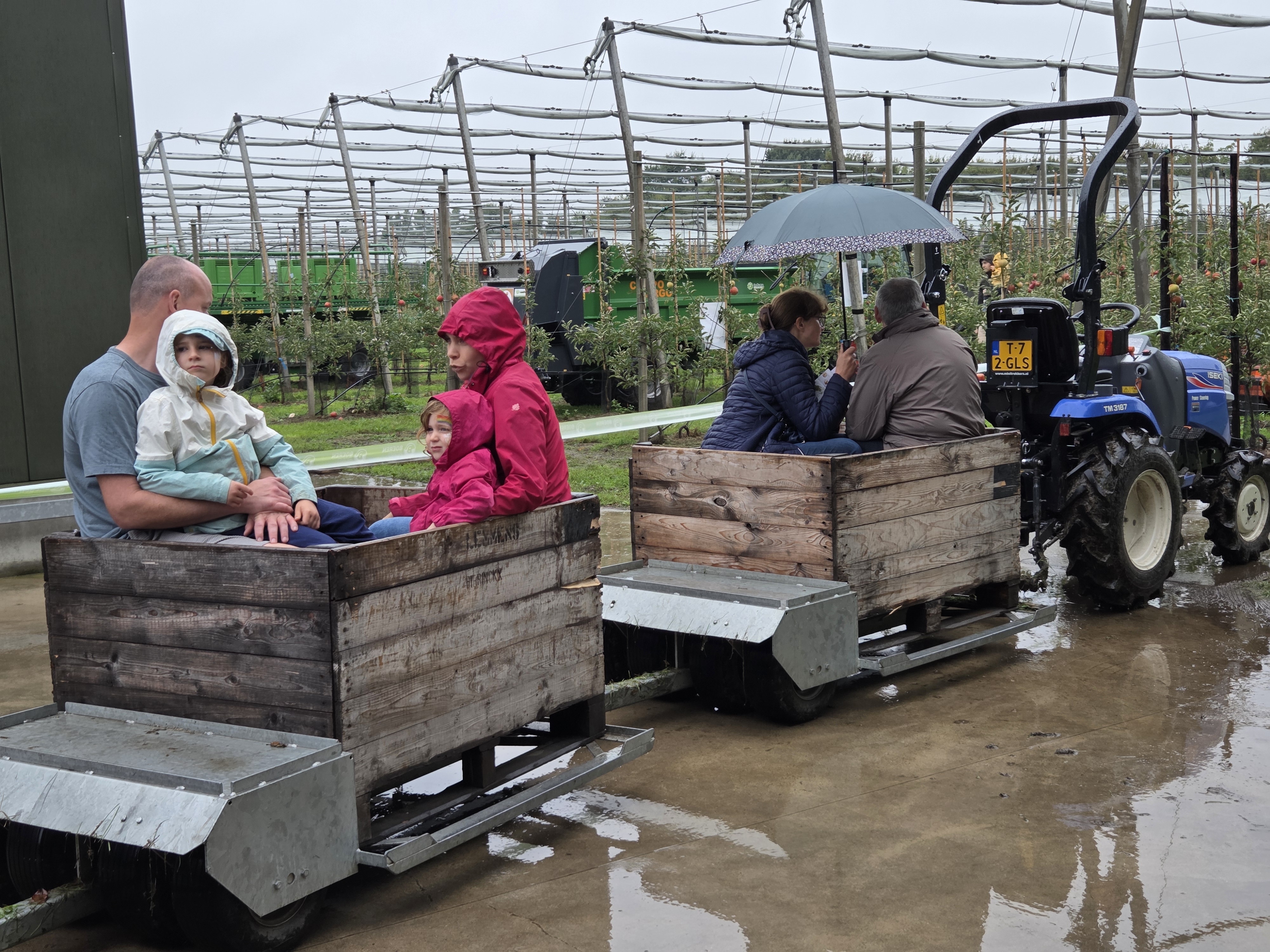 karretjes in de regen