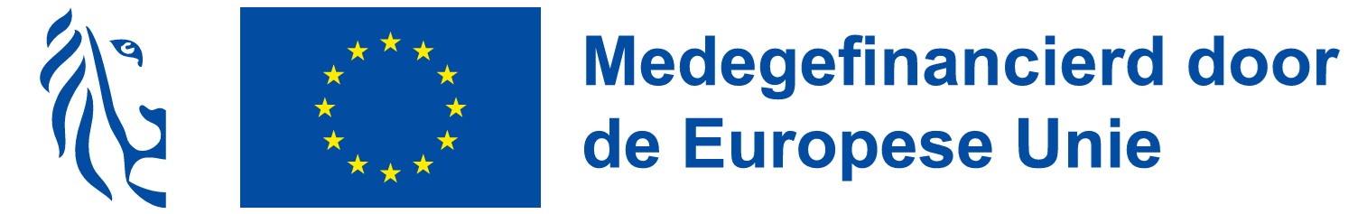 logo Vlaanderen EU