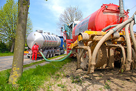 mesttransport