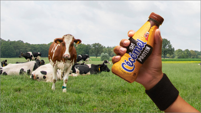 FrieslandCampina 26/05