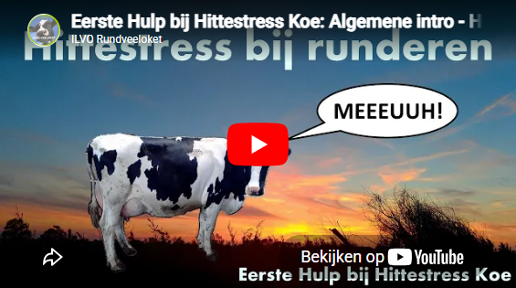 Algemene introductievideo hittestress