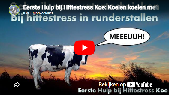 Actief koelen met water