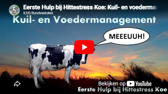 Kuil- en voedermanagement