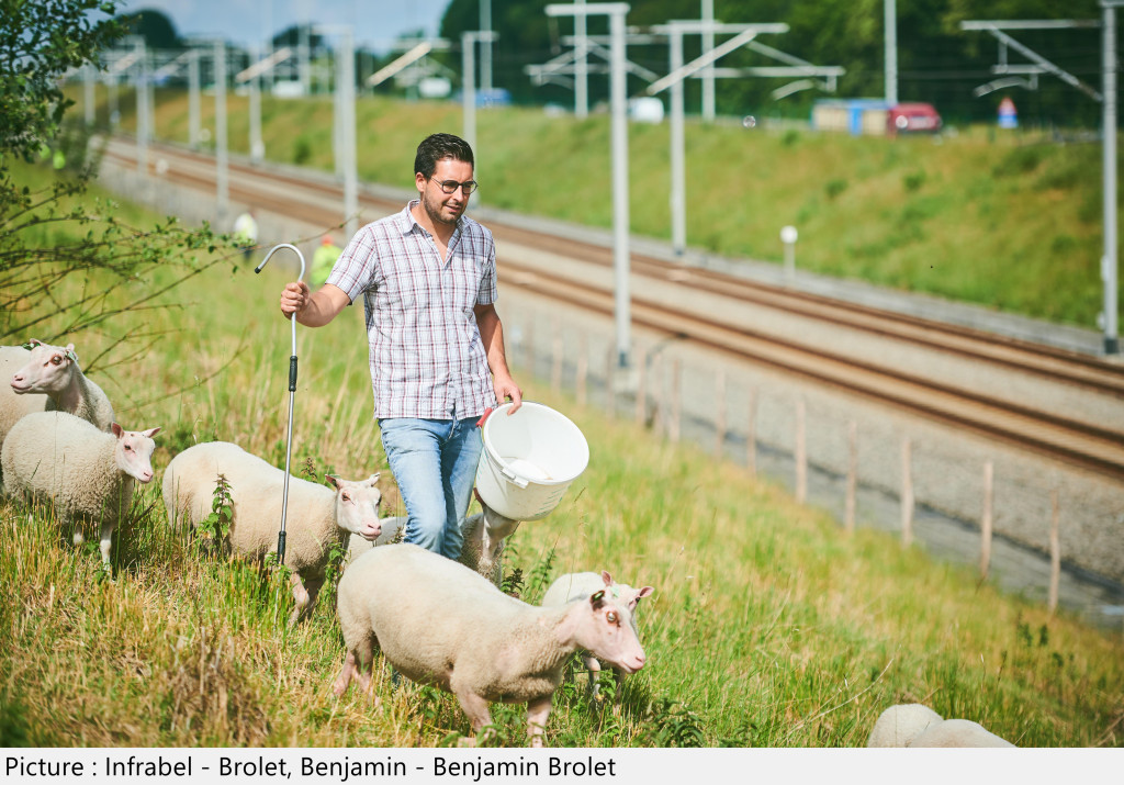Dieren op het spoor 