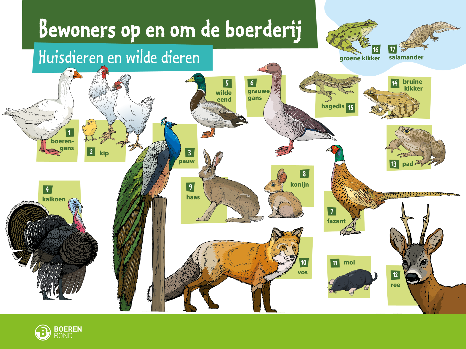 Bord bewoners