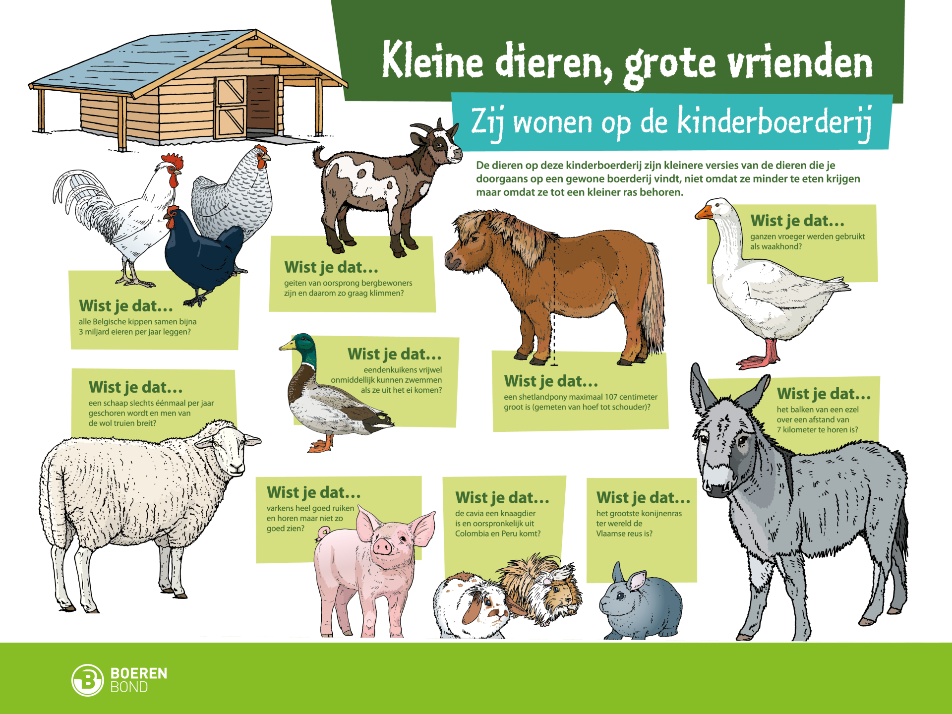 bord kleine dieren